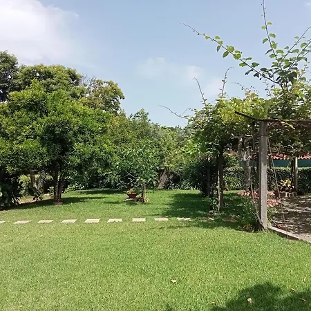 Dom wakacyjny Casa Guimaraes *