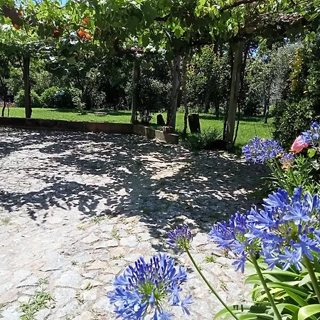 Holiday home Casa Guimaraes *