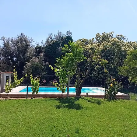 Dom wakacyjny Casa Guimaraes *