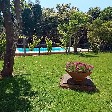 בית נופש Casa Guimaraes פונטה דה לימה