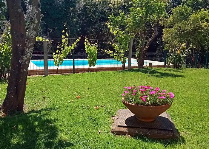 Ferienhaus Casa Guimaraes Ponte de Lima